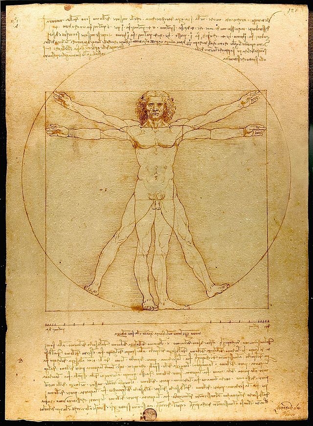 Пропорції краси та гармонії за Вітрувієм, Леонардо да Вінчі